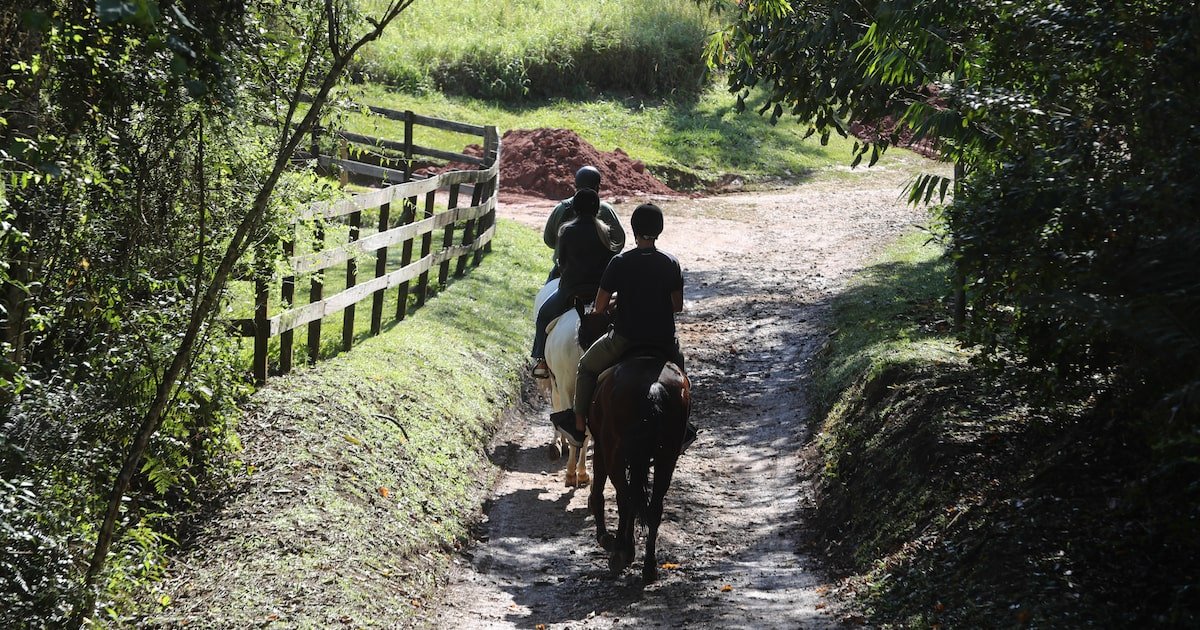 Clima de fazenda, mas conforto e preço de hotel; veja opções para relaxar perto de SP